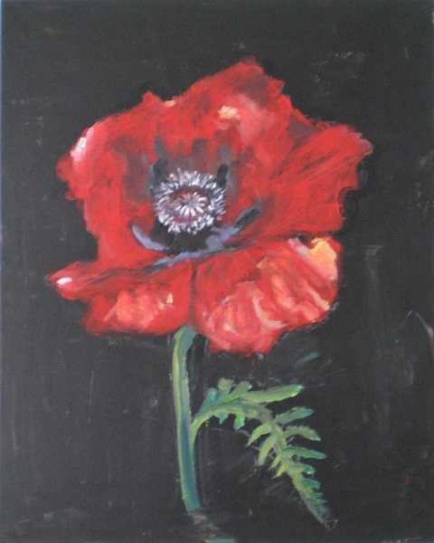 Single Poppy